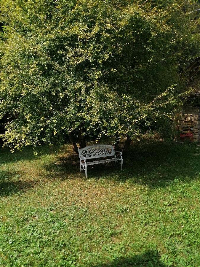Bed and Breakfast A Casa Di Anna Cortemilia Екстер'єр фото